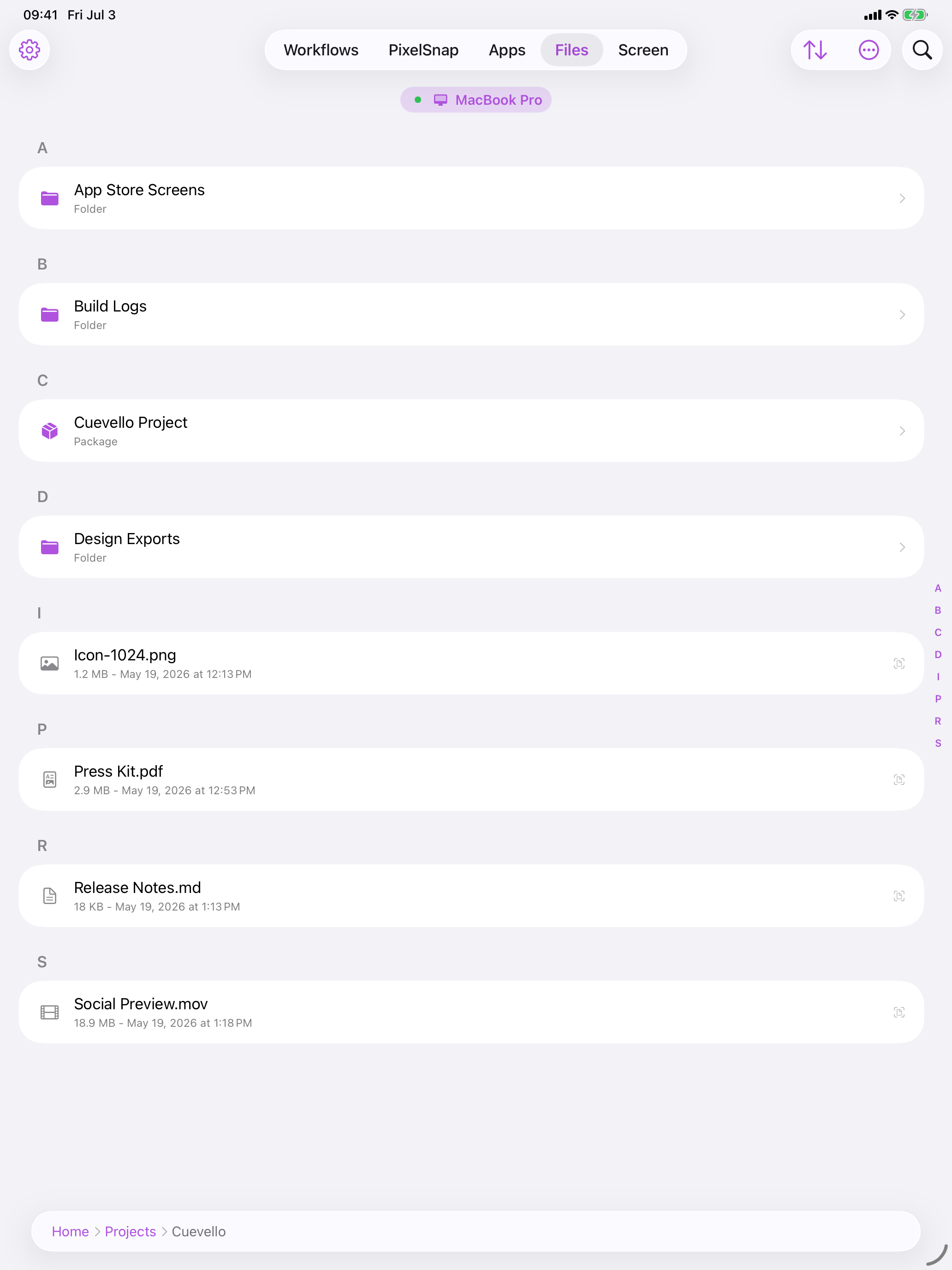 Cuevello files screen on iPad